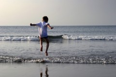 Case Studies: Family-Oriented Resort